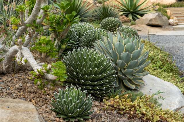 "Now I want to visit New Mexico!"