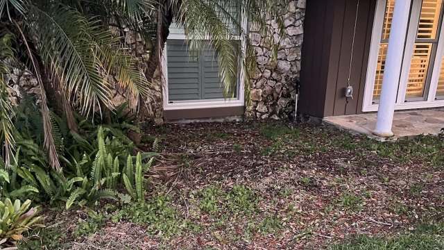 Since most recycled wood comes from construction and scrap pallet waste, some of it is already contaminated.