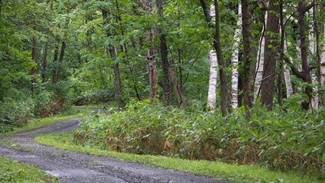 "We didn't want to have a big conflict."