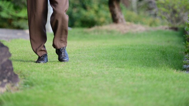 "You might have to get a lawyer involved."