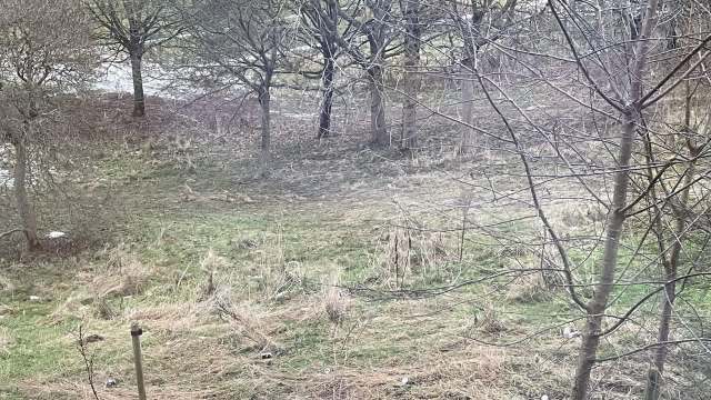 "Is there any way you can discreetly report them?"