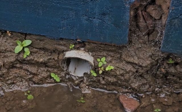 "That's outrageous. Block it up!"