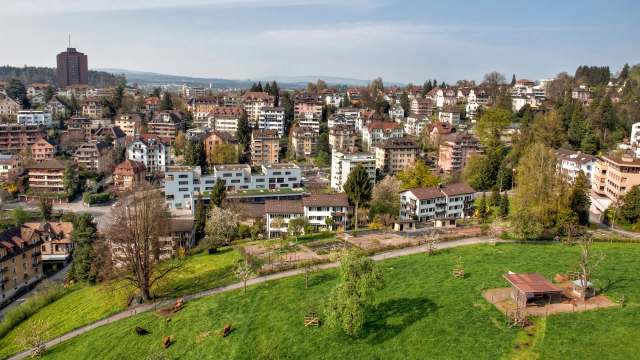 There are a number of other good reasons to incorporate trees into our city planning.