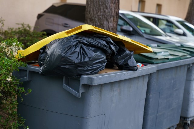 "Maybe we can both just forget it."