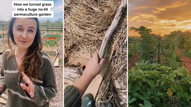 "You can still get your garden planted."