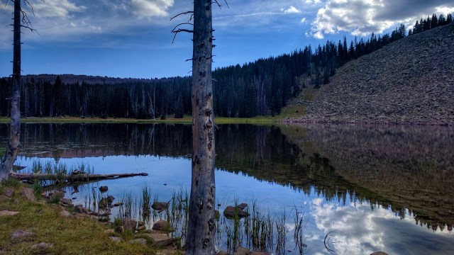 "Charge them to the full extent of the law."