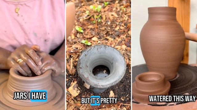 "Conserves water and promotes deep root growth."