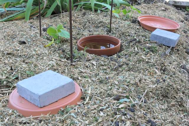 "They work really well."