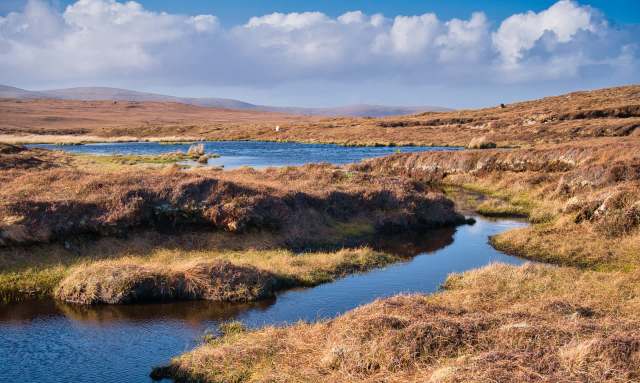 "This is excellent news and will come as a relief to the residents."