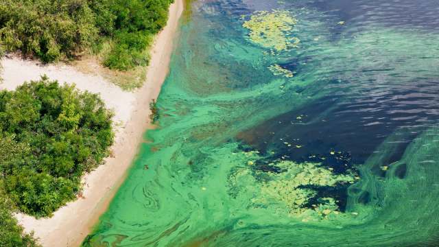 "We hope it will stabilize ... this country."