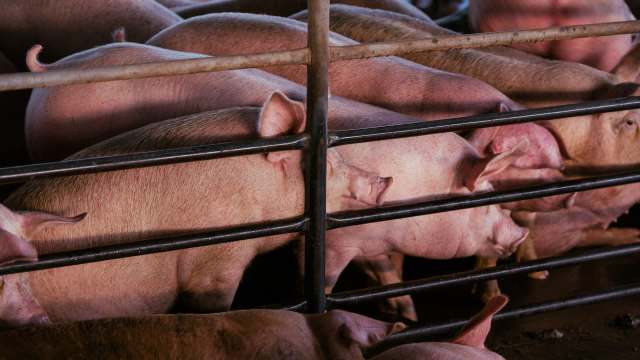 Officials continue to approve the addition of new local farms.