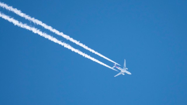 The door is open for many more conspiracy theories to gain traction.