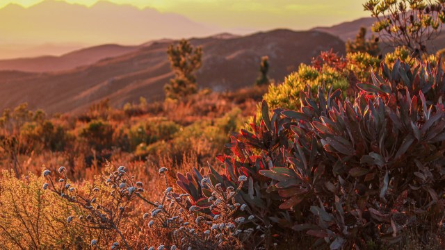 The anonymity allowed by many platforms and the limited monitoring perpetuate the problem.