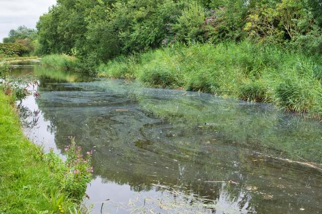 The research is still in an early stage.