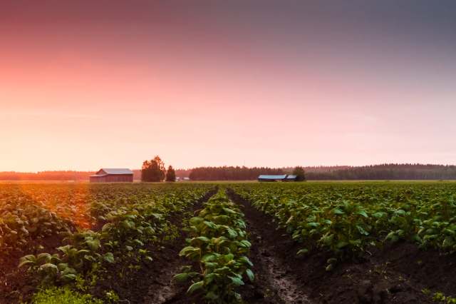 "Everything looked very promising back in February."