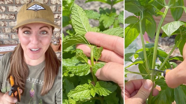 "Thank you for the tip."