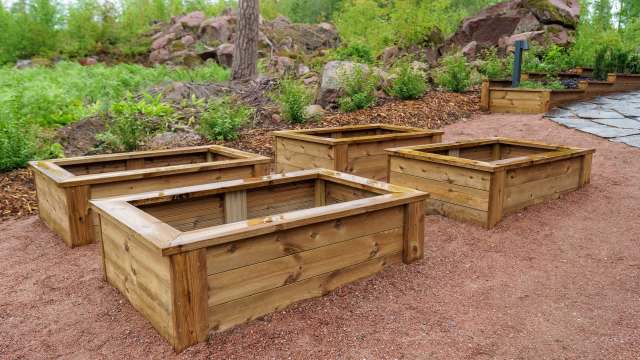 "Everything I've read says they need landscape fabric lining inside."