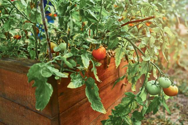 "Thank you so much!"