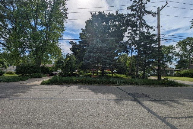 The second image shows the neighbor’s yard from the other side of the street.