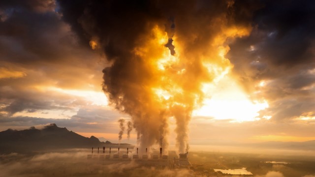 "We believe thermal coal will likely continue to play a key role in energizing the world economy."