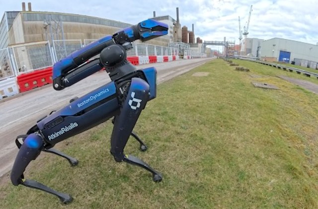 These computer-powered pups are multitalented.