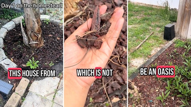 "Can’t wait to see you transform it!"