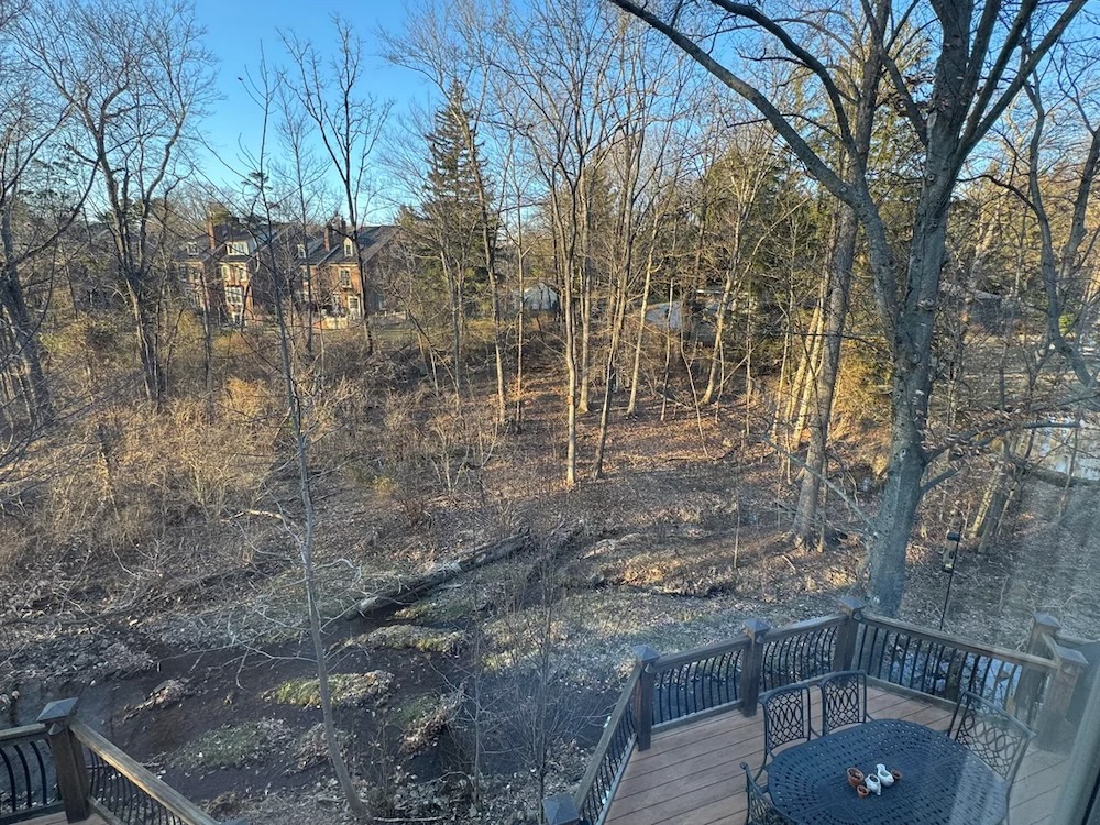Unfortunately, ridding a property of various invasive species can be a challenge.