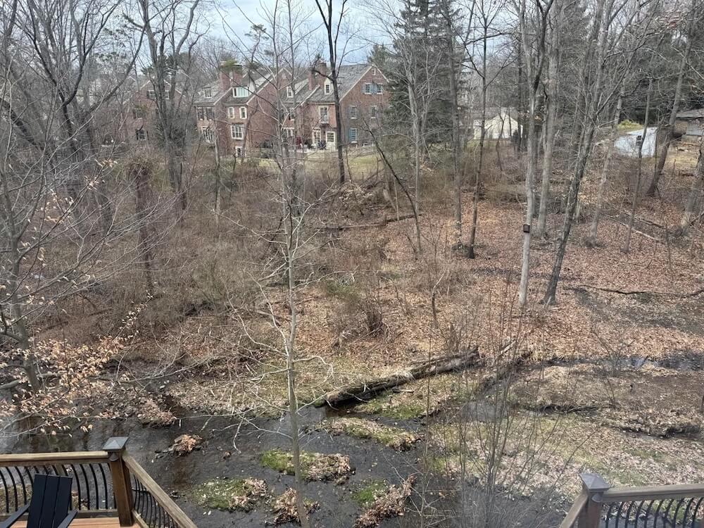 Unfortunately, ridding a property of various invasive species can be a challenge.