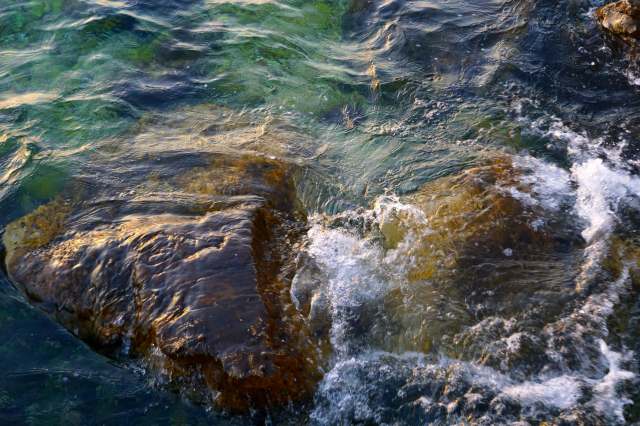 The study was published this February and could be a game changer.