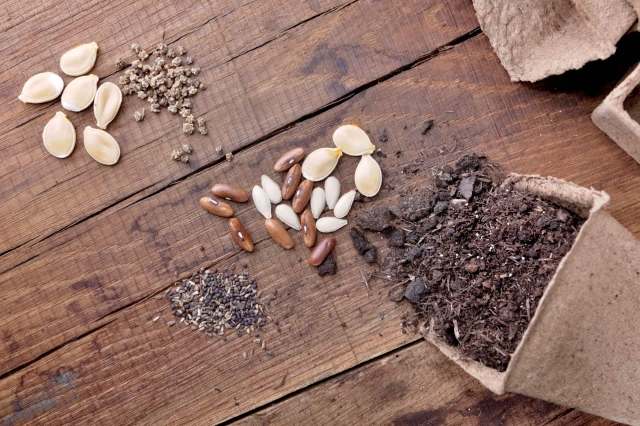 "It’s really satisfying to flip through."