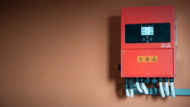 "[My family was] able to do many normal things."