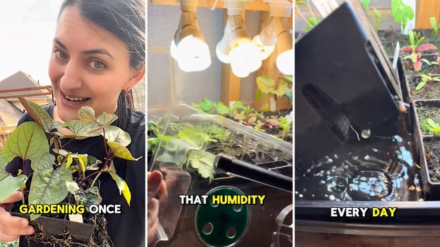 TikTok users were quick to praise the advice.