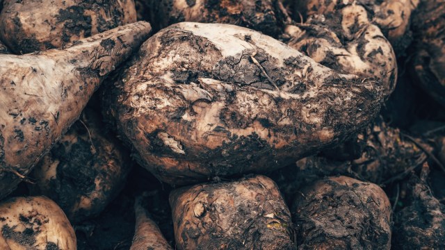 "It is obvious to consider using the entire crop for more than just food."