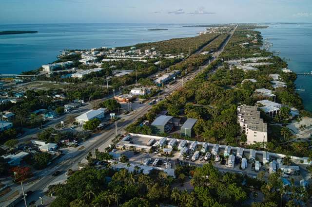 The organization "encourages removal and humane killing."