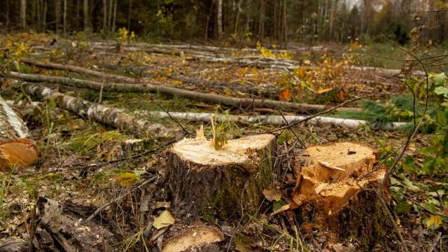 This case is a reminder that public land belongs to all of us.