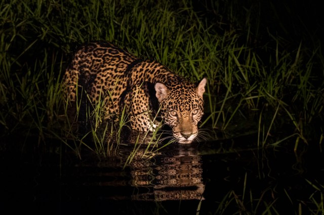 "I have no other word to describe it."