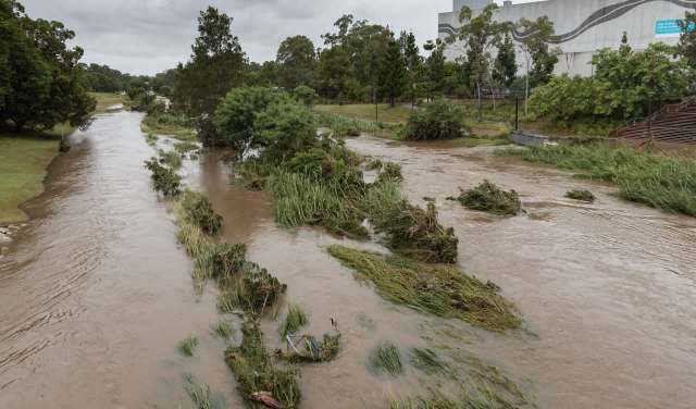 "To lose any of them is heartbreaking."