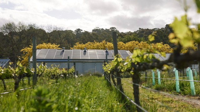 "We've always believed in paying it forward."