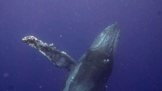 Researchers say it’s a warning sign we can’t afford to ignore.