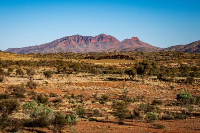 "We know relatively little about the adaptations and social dynamics of animals that rely on these resources."