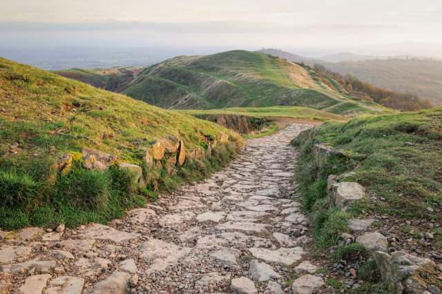 These stories remind us that nature can sometimes surprise us.