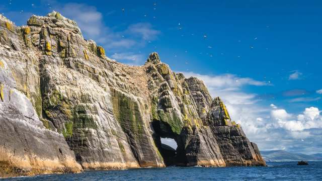 The birds were blown off of their usual course.