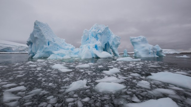 "It’ll be found in other parts of the world, too."