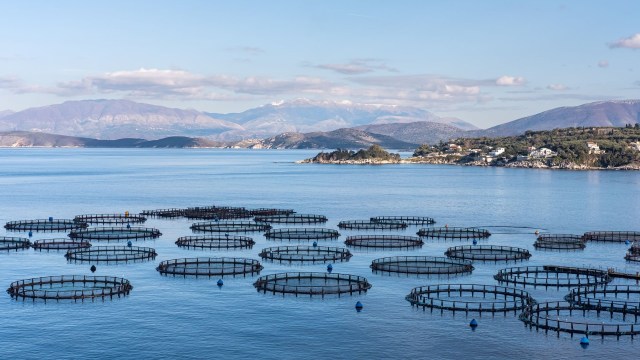 Unfortunately, this topic is significantly understudied.