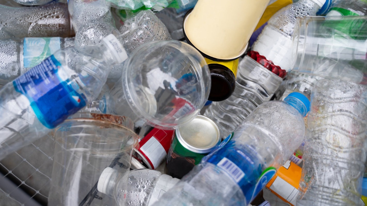 The ban has taken 20 years of research to fully culminate.