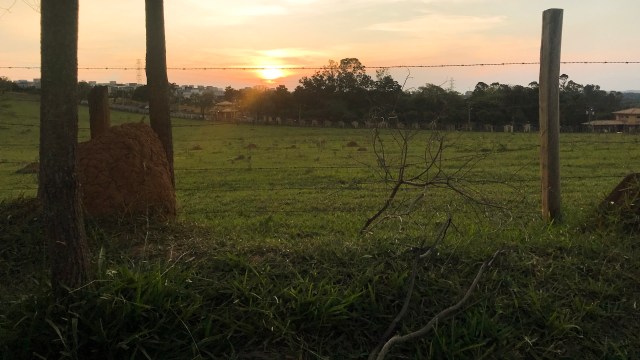 The price hikes come down to market basics: supply and demand.