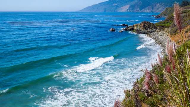 The success of California's network is a victory for ocean conservation.