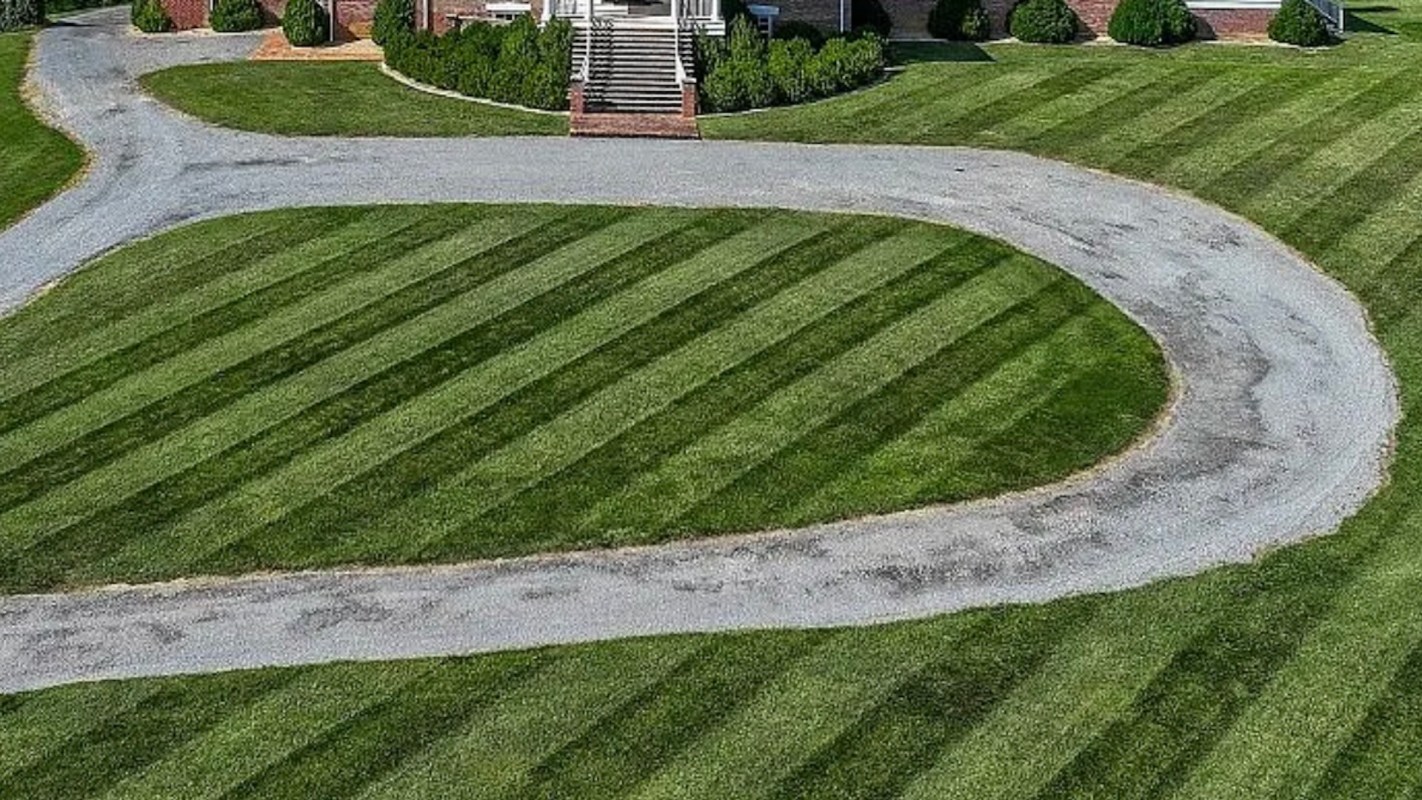 "All I can think about when I see this is how many trees they cut down."