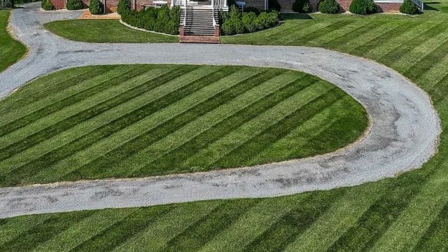 "All I can think about when I see this is how many trees they cut down."