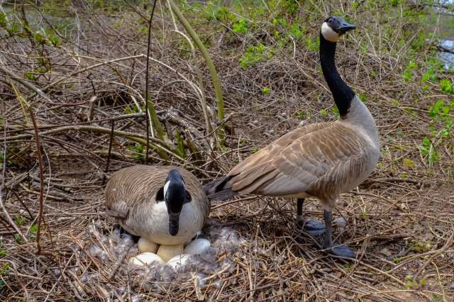 Commenters were appalled.